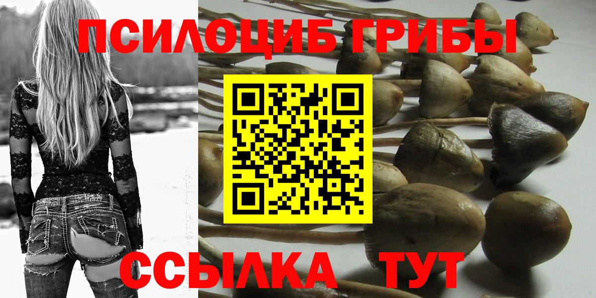 Псилоцибиновые грибы мухоморы Владивосток