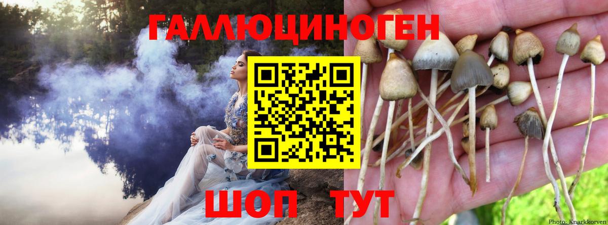 Псилоцибиновые грибы мицелий  Вход с VPN  Владивосток 